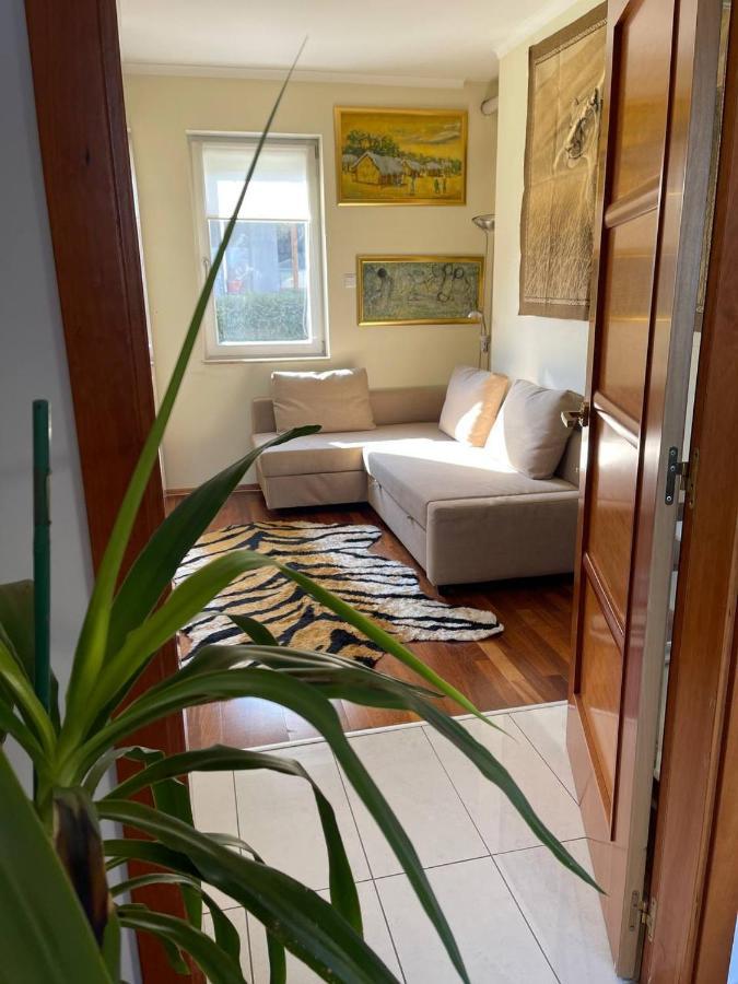Rosehill Garden Family Villa With A Great Budapest View Exterior foto
